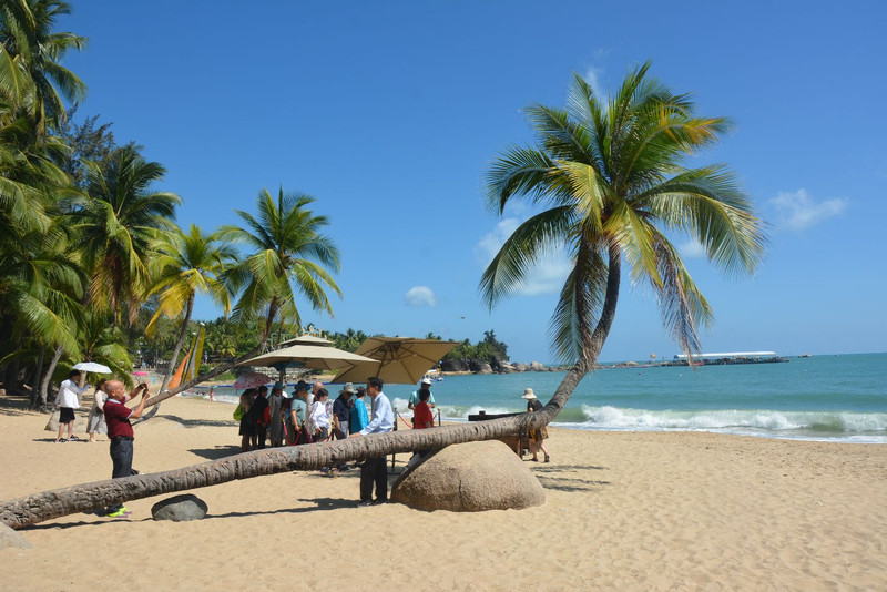 海南，嘉宾云集，观众热情洋溢
