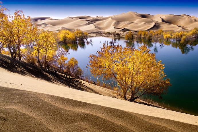 新疆风情，温馨相伴的美丽画卷