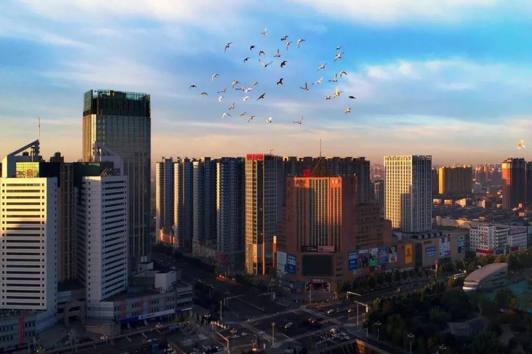 唐山初学者攻略，轻松掌握某项任务或技能教程